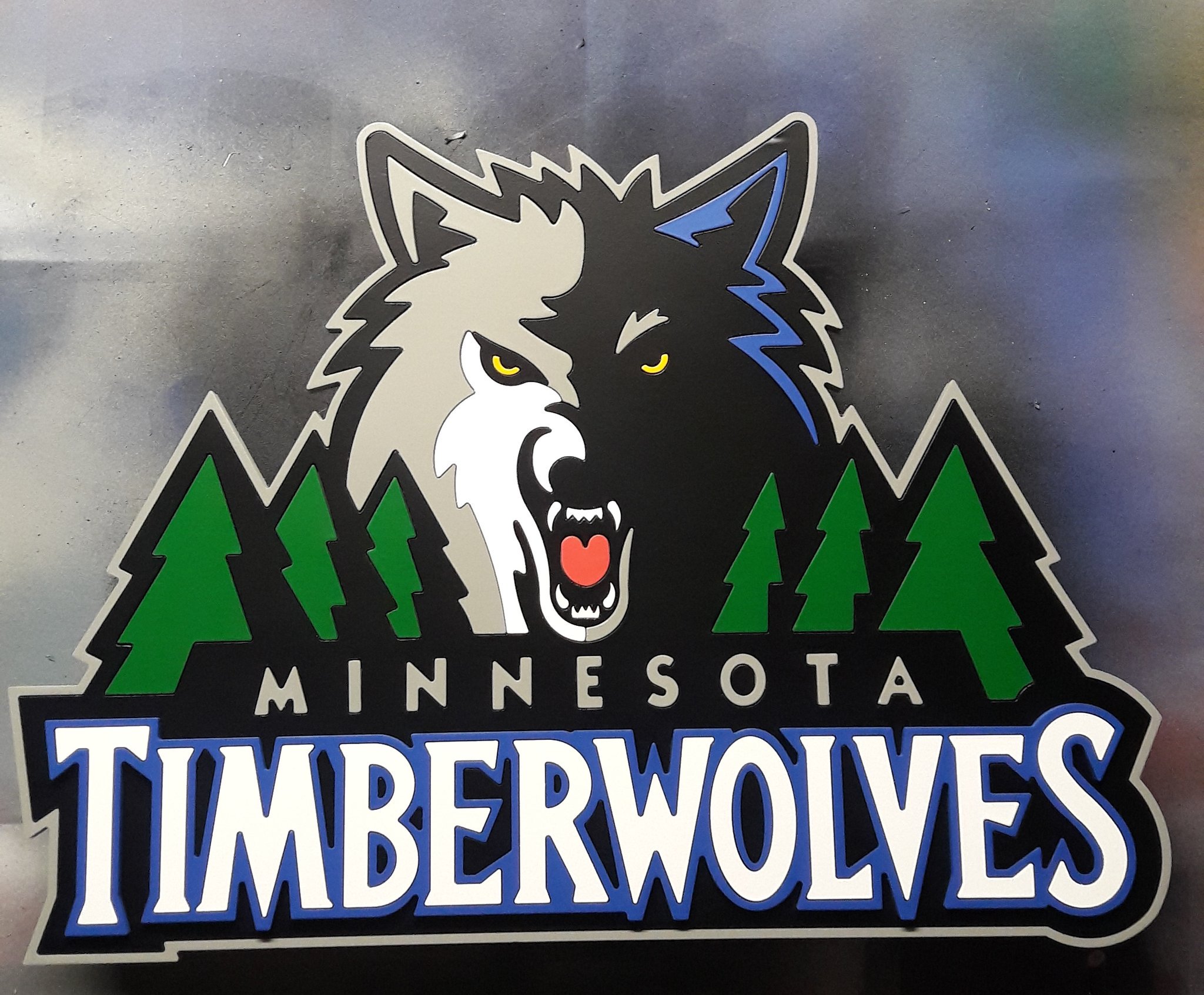 Minnesota Timberwolves
